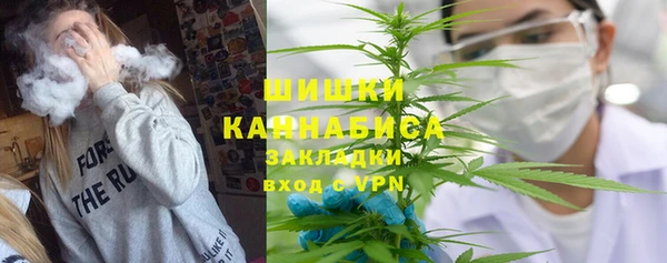 a pvp Новозыбков